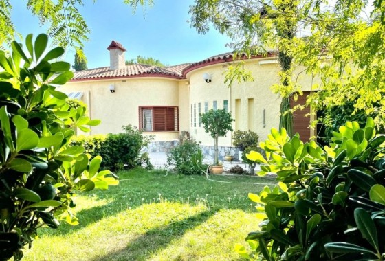Finca nieruchomość wiejska - Sprzedaż - Elche - Elche