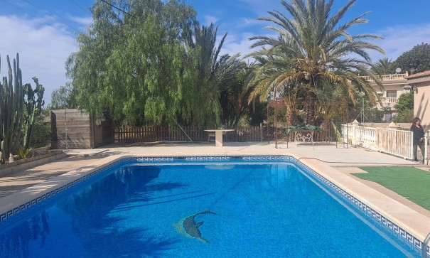 Finca nieruchomość wiejska - Sprzedaż - Elche - Elche