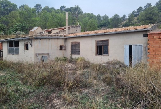Finca nieruchomość wiejska - Sprzedaż - La Romana - La Romana
