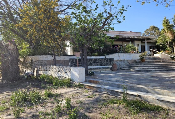 Finca nieruchomość wiejska - Sprzedaż - Novelda - Novelda