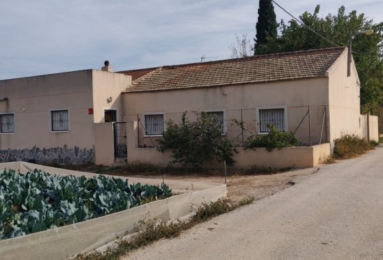 Finca nieruchomość wiejska - Sprzedaż - Orihuela - Orihuela