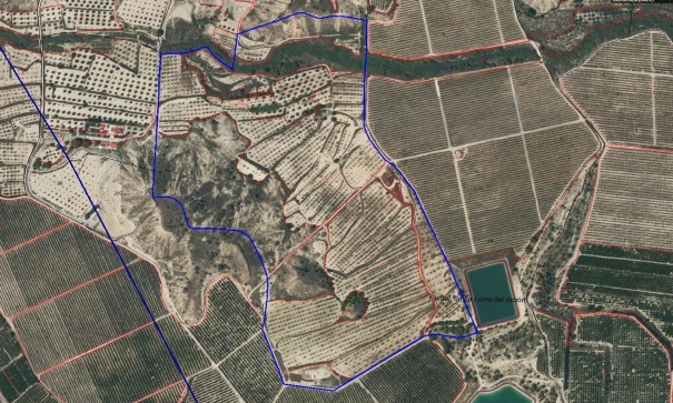 Finca nieruchomość wiejska - Sprzedaż - Torremendo - Torremendo