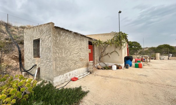 Finca Propiedad rural - Venta - Albatera - Albatera