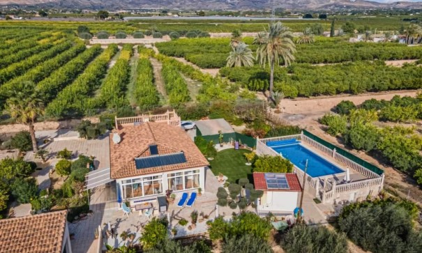 Finca Propiedad rural - Venta - Albatera - Albatera