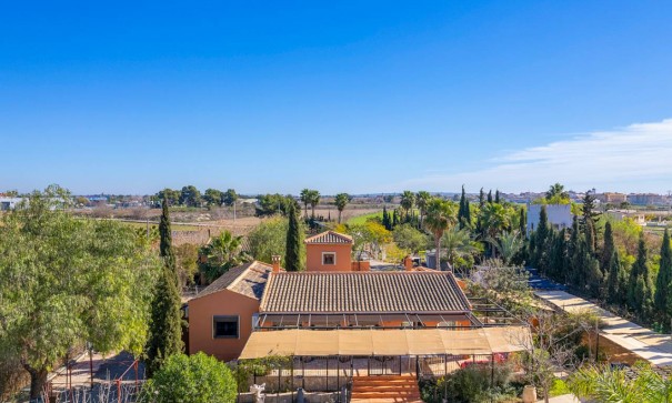 Finca Propiedad rural - Venta - Catral - Catral