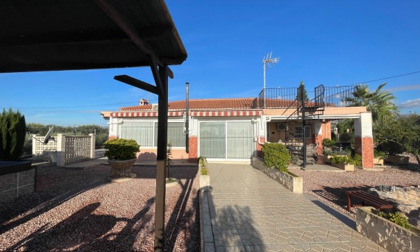 Finca Propiedad rural - Venta - Crevillente - Crevillente