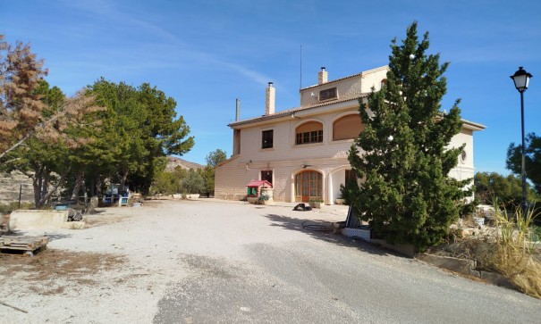 Finca Propiedad rural - Venta - Crevillente - Crevillente