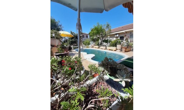 Finca Propiedad rural - Venta - Daya Nueva - Daya Nueva