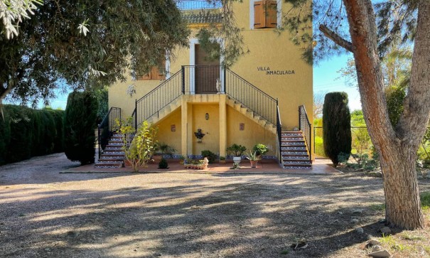 Finca Propiedad rural - Venta - Daya Nueva - Daya Nueva