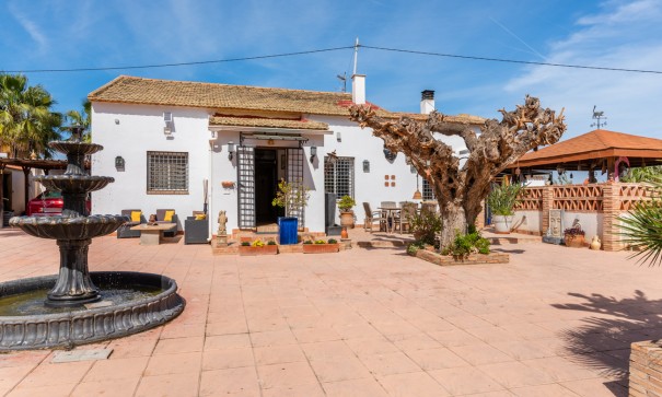 Finca Propiedad rural - Venta - Daya Nueva - Daya Nueva