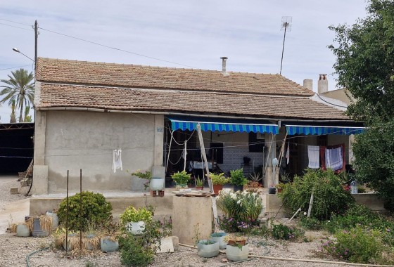 Finca Propiedad rural - Venta - Elche - Elche