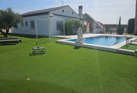 Finca Propiedad rural - Venta - Elche - Elche