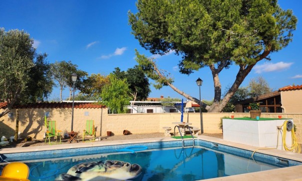 Finca Propiedad rural - Venta - Elche - Elche