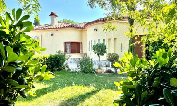 Finca Propiedad rural - Venta - Elche - Elche