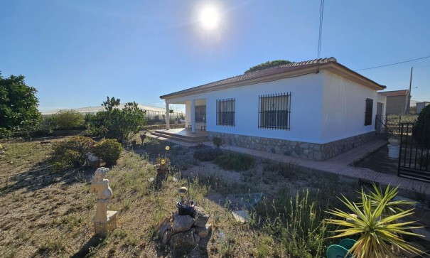 Finca Propiedad rural - Venta - Guardamar del Segura - Buenavista