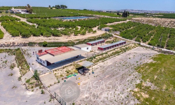 Finca Propiedad rural - Venta - Los Montesinos - LOS MONTESINOS