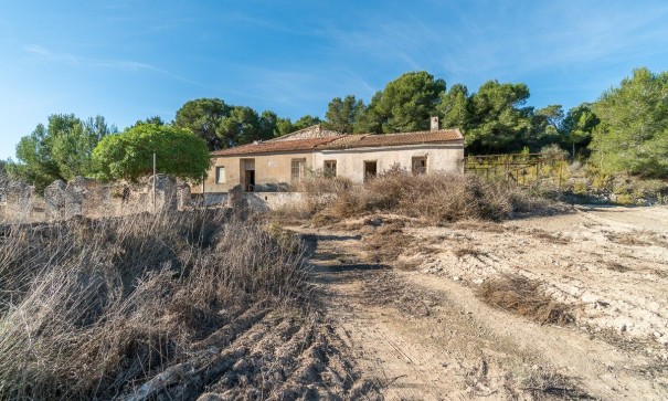 Finca Propiedad rural - Venta - Pilar de la Horadada - Pinar de la Perdiz