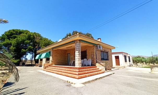 Finca Propiedad rural - Venta - SAN VICENTE DEL RASPIG - SAN VICENTE DEL RASPIG