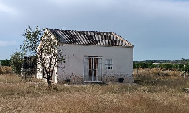 Finca Propiedad rural - Venta - Yecla - Yecla