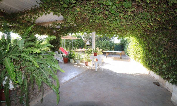 Finca Propriété rurale - Revente - Albatera - Albatera