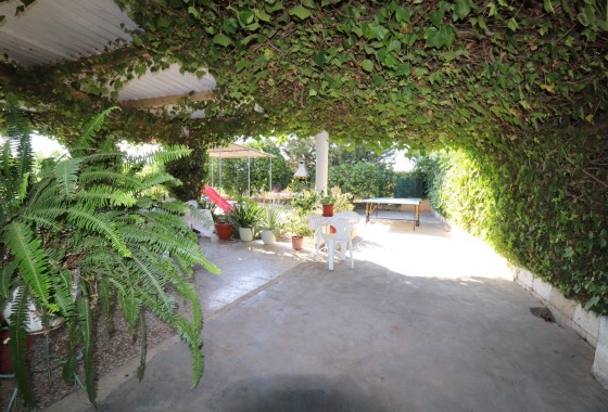 Finca Propriété rurale - Revente -
        Albatera - C1H-97126