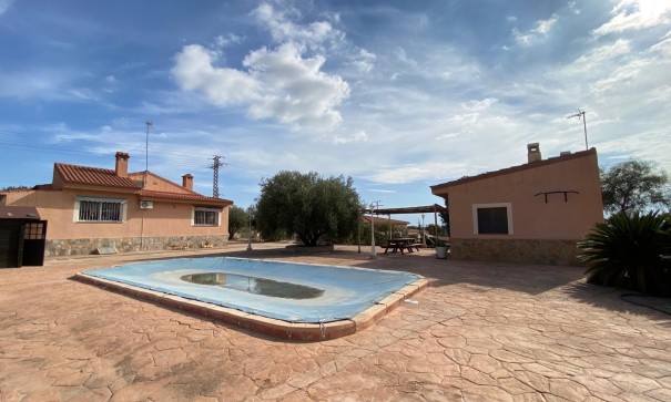 Finca Propriété rurale - Revente - Alicante - Alicante