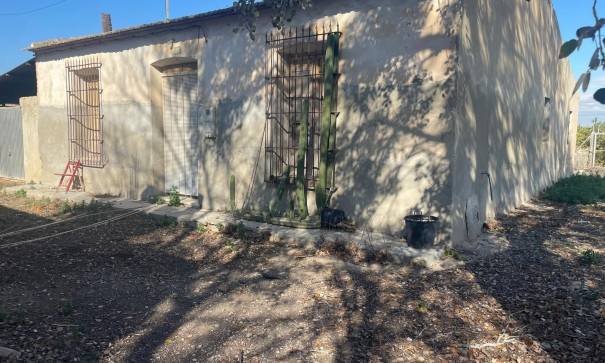 Finca Propriété rurale - Revente - Almoradí - Almoradí