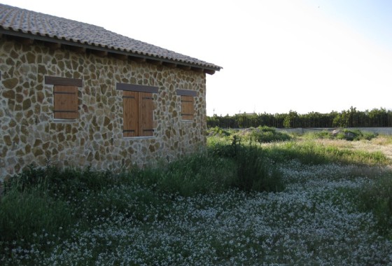 Finca Propriété rurale - Revente - Benferri - Benferri