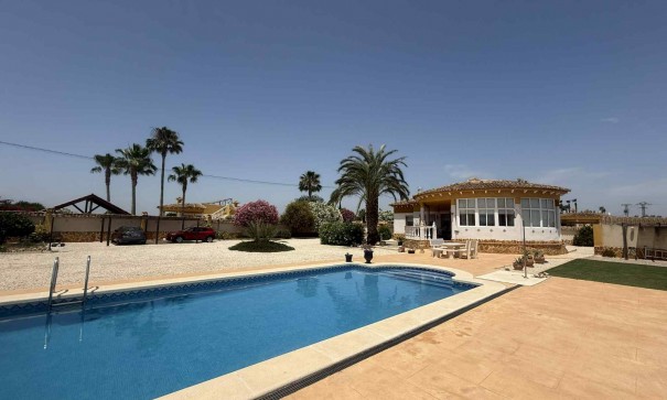 Finca Propriété rurale - Revente - Catral - Catral