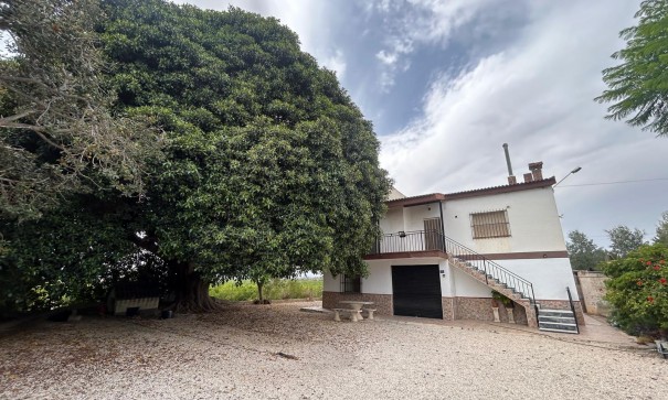 Finca Propriété rurale - Revente - Crevillente - Crevillente