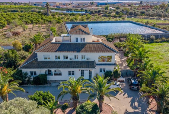 Finca Propriété rurale - Revente -
        Los Montesinos - C4R-11899