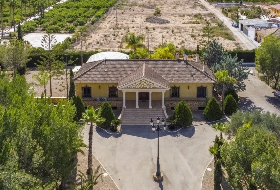 Finca Propriété rurale - Revente - Orihuela -
                Orihuela