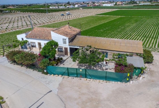 Finca / Propriété rurale - Revente - Orihuela - Orihuela