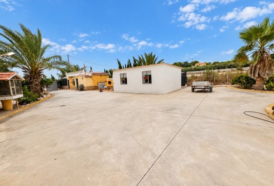 Finca / Propriété rurale - Revente - San Fulgencio -
                San Fulgencio - Country