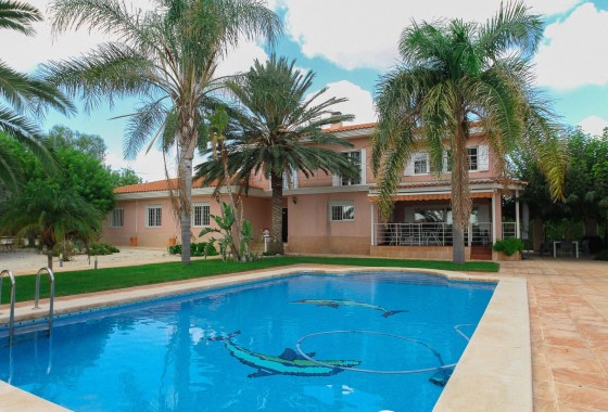 Finca / Propriété rurale - Revente - San Vicente del Raspeig -
                San Vicente del Raspeig