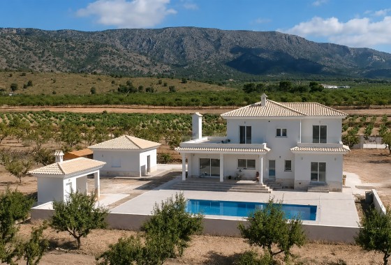 Freistehende Villa - New Build - Pinoso - Pinoso