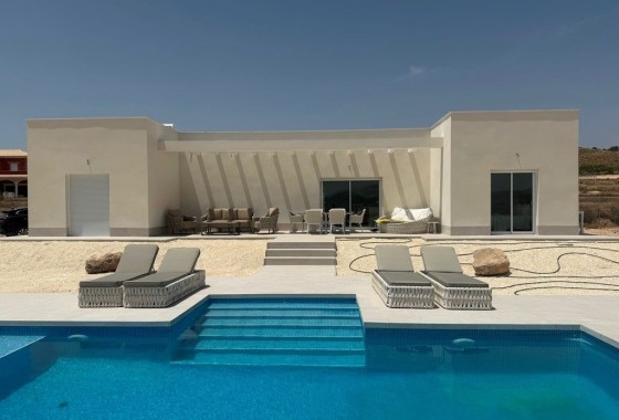 Freistehende Villa - New Build - Pinoso -
                Rodriguillo