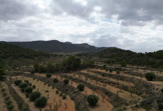 Grond - Herverkoop - La Zarza - La Zarza