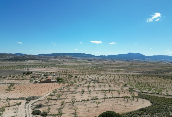 Grond - Herverkoop - Pinoso - Pinoso