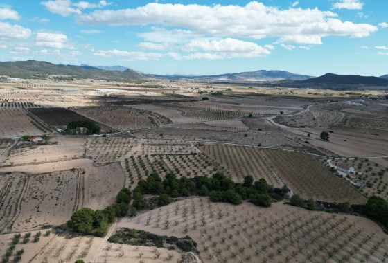 Grond - Herverkoop - Pinoso - Pinoso