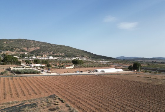 Grond - Sale - Pinoso - Pinoso