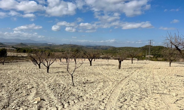 Grund Jord - Videresalg - Bullas - Costa Calida