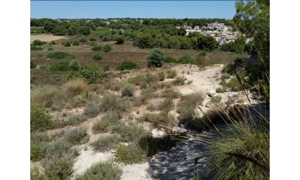 Grund Jord - Videresalg - Pinar de Campoverde - Pinar de Campoverde