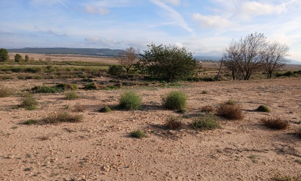 Grund Jord - Videresalg - Yecla - Yecla