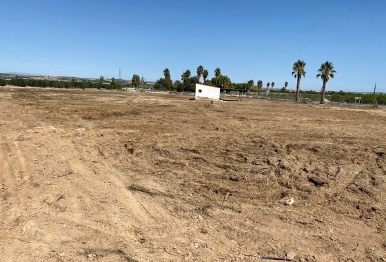 Grundstück Grundstück - Resale - San Miguel de Salinas - San Miguel Salinas