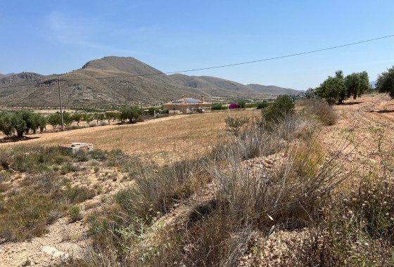 Grundstück / Land - Resale - Barbarroja - Barbarroja