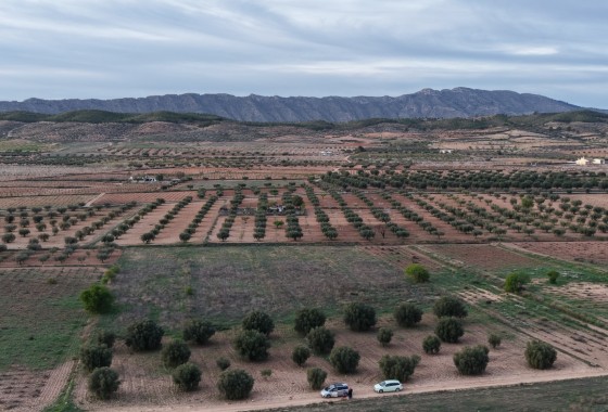 Grundstück / Land - Resale - Jumilla -
                Jumilla