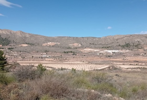 Grundstück / Land - Resale - La Romana -
                La Romana