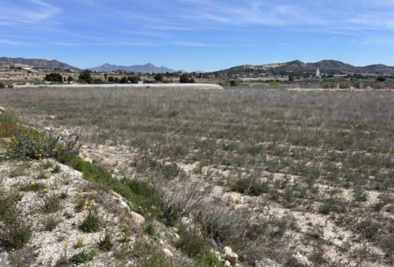 Grundstück / Land - Resale - La Romana - La Romana