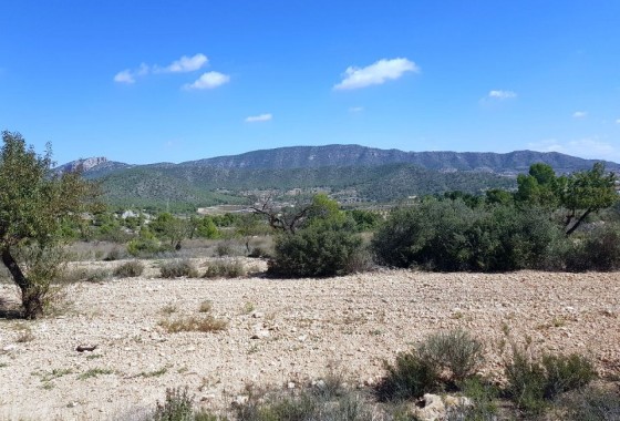 Grundstück / Land - Resale -
        Monóvar - CAH-35001